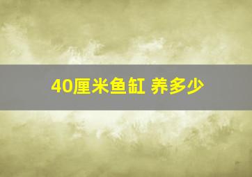 40厘米鱼缸 养多少